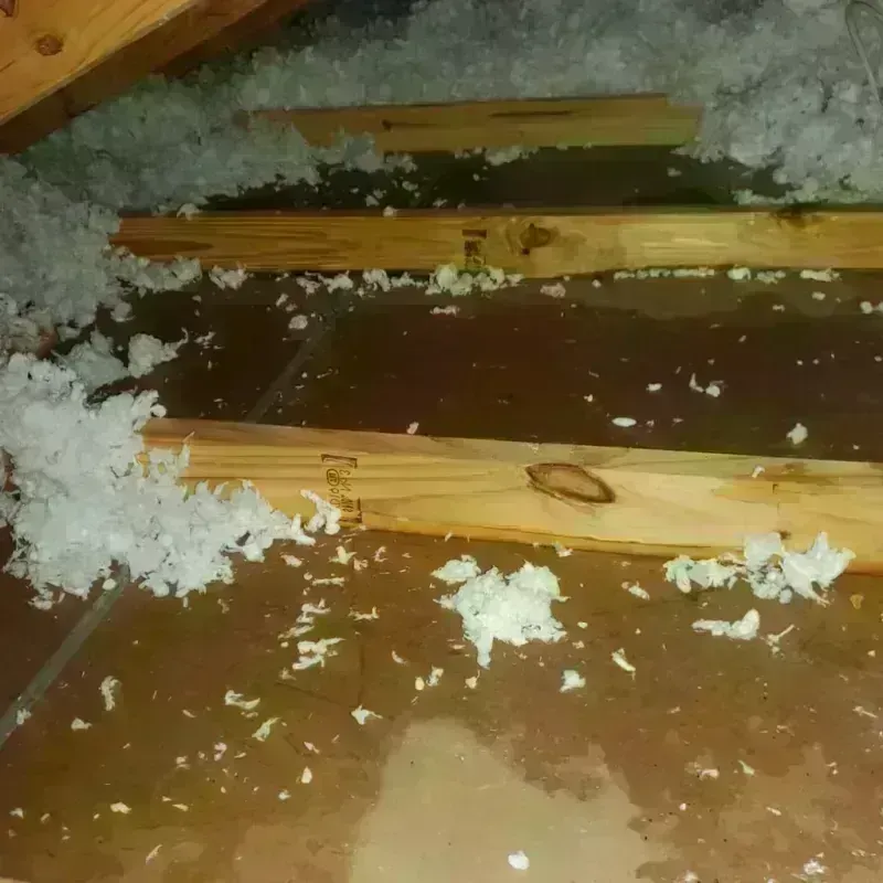 Attic Water Damage in Moro, OR