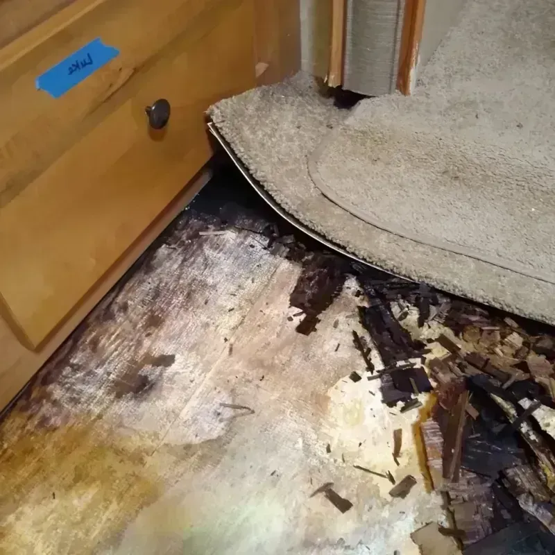 Wood Floor Water Damage in Moro, OR